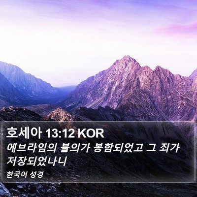 호세아 13:12 KOR Bible Verse Image