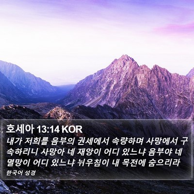호세아 13:14 KOR Bible Verse Image