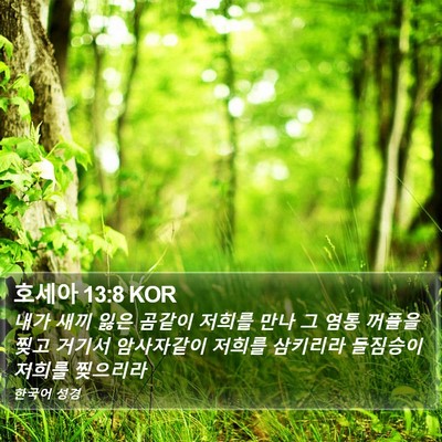 호세아 13:8 KOR Bible Verse Image