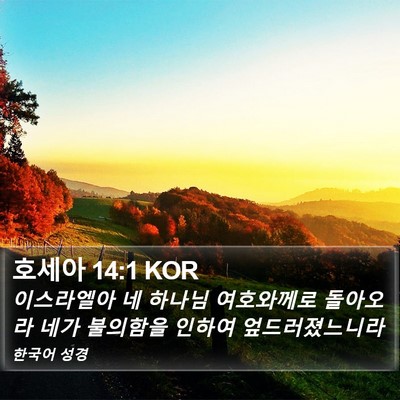 호세아 14:1 KOR Bible Verse Image