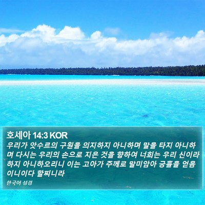 호세아 14:3 KOR Bible Verse Image