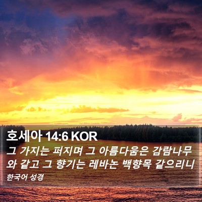 호세아 14:6 KOR Bible Verse Image