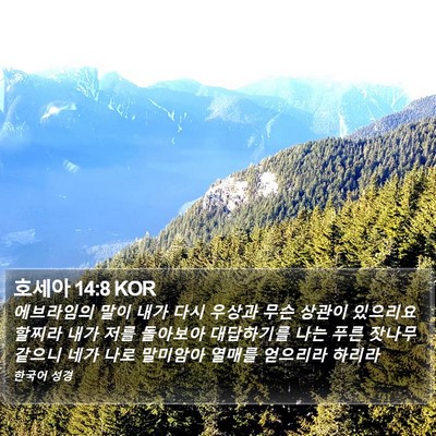 호세아 14:8 KOR Bible Verse Image