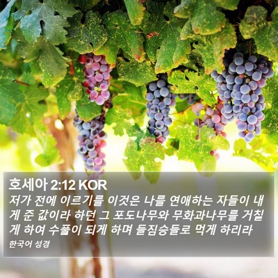 호세아 2:12 KOR Bible Verse Image
