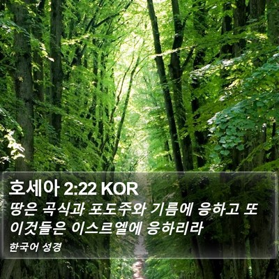 호세아 2:22 KOR Bible Verse Image