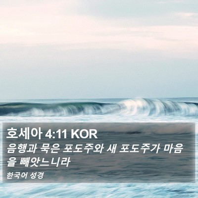 호세아 4:11 KOR Bible Verse Image