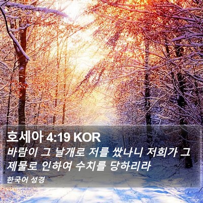 호세아 4:19 KOR Bible Verse Image