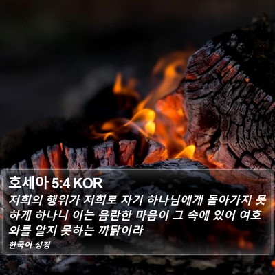 호세아 5:4 KOR Bible Verse Image