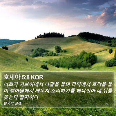 호세아 5:8 KOR Bible Verse Image