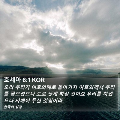 호세아 6:1 KOR Bible Verse Image