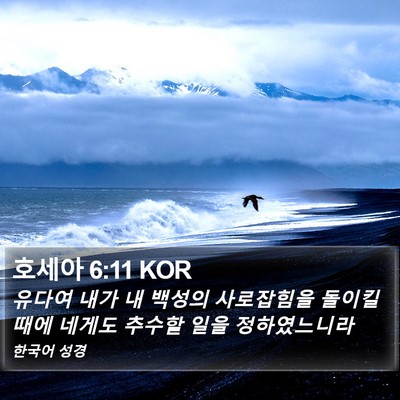 호세아 6:11 KOR Bible Verse Image