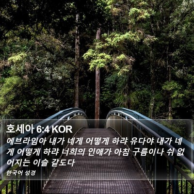 호세아 6:4 KOR Bible Verse Image
