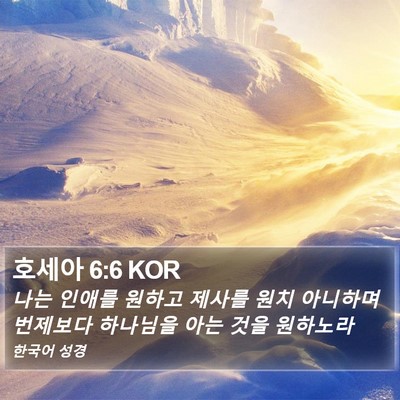 호세아 6:6 KOR Bible Verse Image