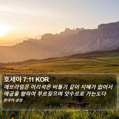 호세아 7:11 KOR Bible Verse Image