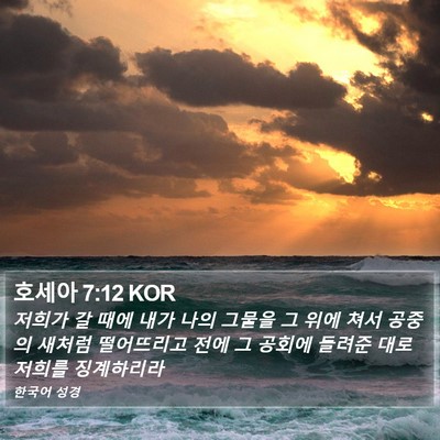 호세아 7:12 KOR Bible Verse Image
