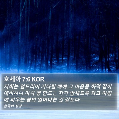 호세아 7:6 KOR Bible Verse Image