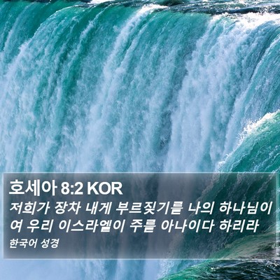 호세아 8:2 KOR Bible Verse Image