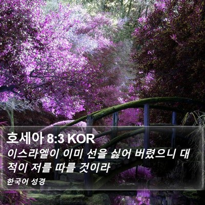호세아 8:3 KOR Bible Verse Image