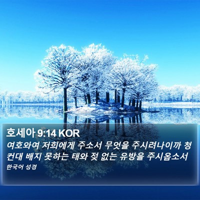 호세아 9:14 KOR Bible Verse Image