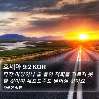 호세아 9:2 KOR Bible Verse Image