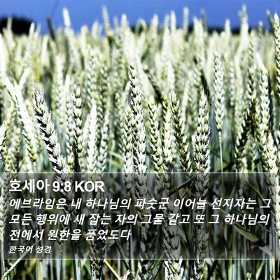 호세아 9:8 KOR Bible Verse Image