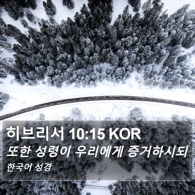히브리서 10:15 KOR Bible Verse Image