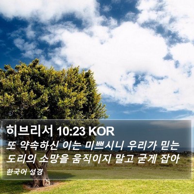 히브리서 10:23 KOR Bible Verse Image