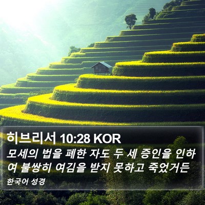 히브리서 10:28 KOR Bible Verse Image