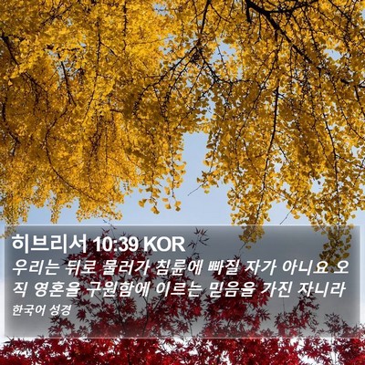 히브리서 10:39 KOR Bible Verse Image