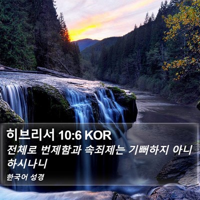 히브리서 10:6 KOR Bible Verse Image