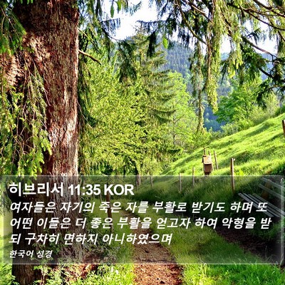 히브리서 11:35 KOR Bible Verse Image