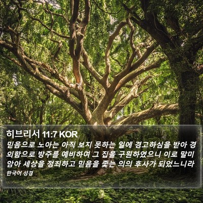 히브리서 11:7 KOR Bible Verse Image