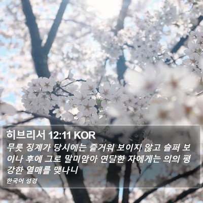 히브리서 12:11 KOR Bible Verse Image