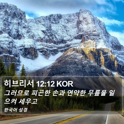 히브리서 12:12 KOR Bible Verse Image