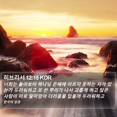 히브리서 12:15 KOR Bible Verse Image