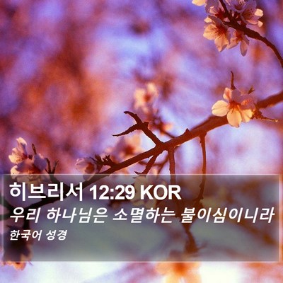 히브리서 12:29 KOR Bible Verse Image