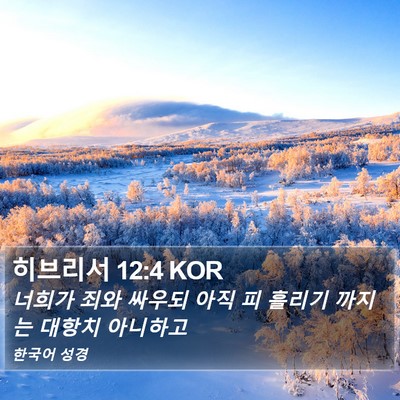 히브리서 12:4 KOR Bible Verse Image