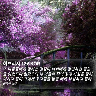 히브리서 12:5 KOR Bible Verse Image