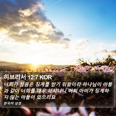 히브리서 12:7 KOR Bible Verse Image
