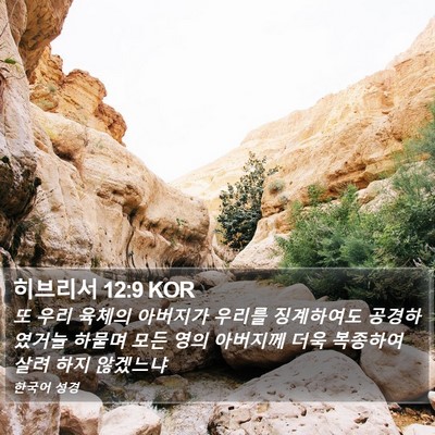 히브리서 12:9 KOR Bible Verse Image