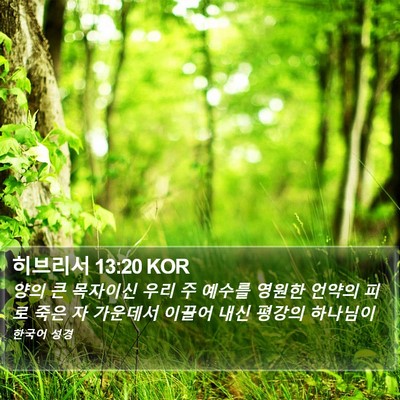 히브리서 13:20 KOR Bible Verse Image