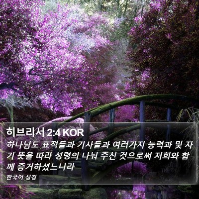 히브리서 2:4 KOR Bible Verse Image