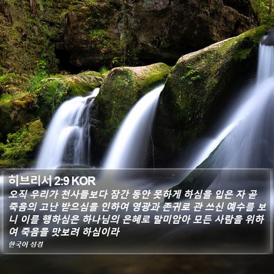 히브리서 2:9 KOR Bible Verse Image