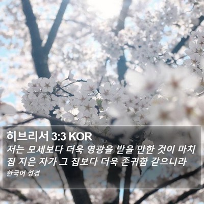 히브리서 3:3 KOR Bible Verse Image