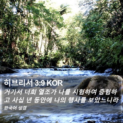 히브리서 3:9 KOR Bible Verse Image