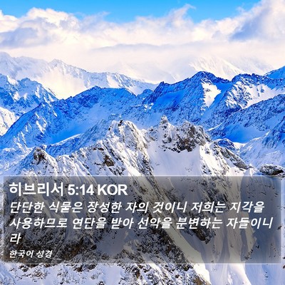 히브리서 5:14 KOR Bible Verse Image