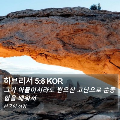 히브리서 5:8 KOR Bible Verse Image