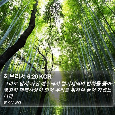 히브리서 6:20 KOR Bible Verse Image