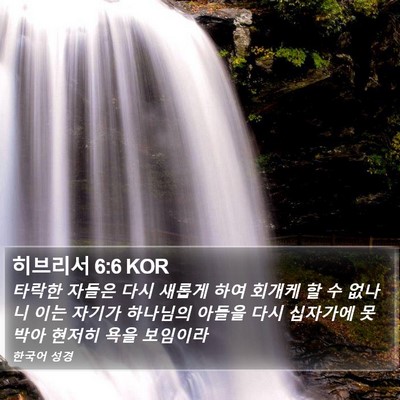 히브리서 6:6 KOR Bible Verse Image