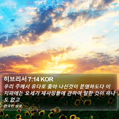 히브리서 7:14 KOR Bible Verse Image